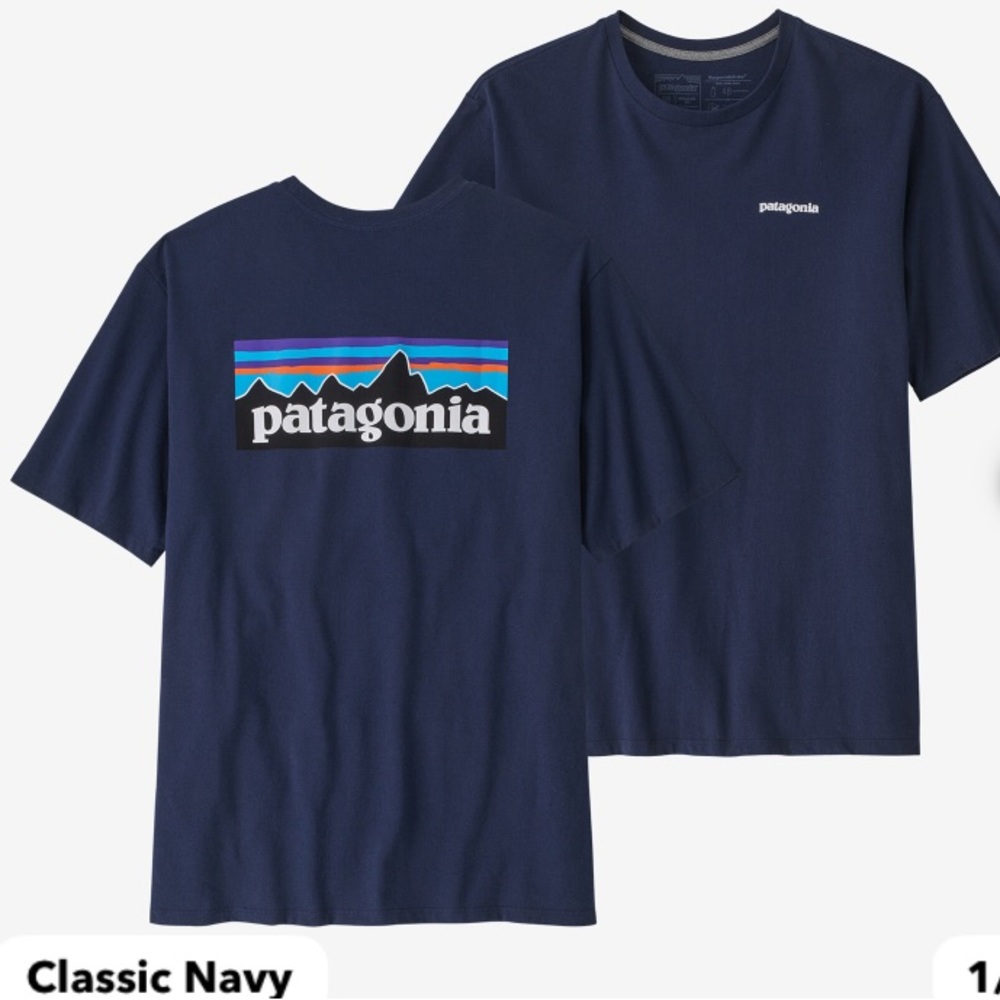 Patagonia P-6 Logo Tee
